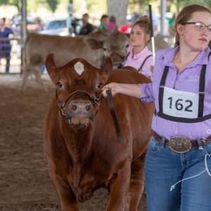 Meet your Posher, Kendall